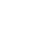 NovilloAlegre2